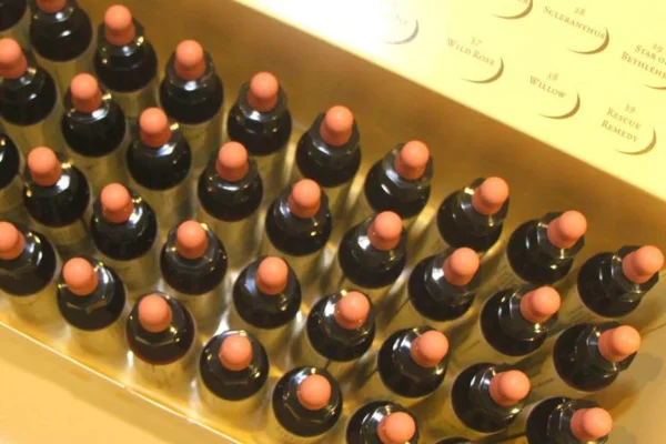 flores de Bach conjunto de 38 remedios